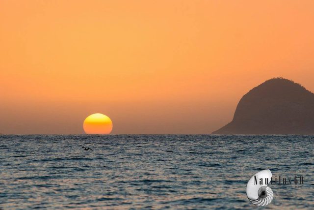 Foto do álbum Nado Revezamento Nautilus 60 Mais (15/12/2017)