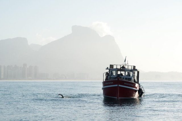 Foto do álbum Nado Revezamento Nautilus 60 Mais (15/12/2017)